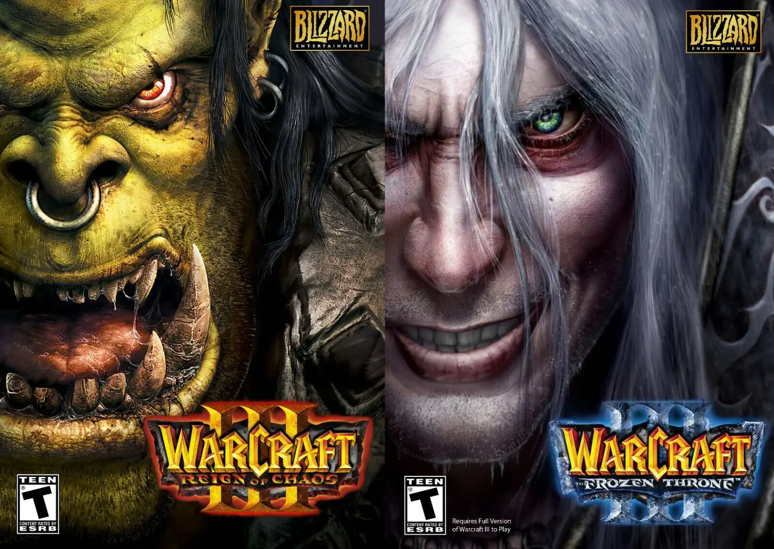 WarCraft III cover art.